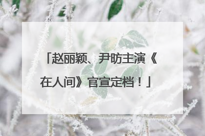 赵丽颖、尹昉主演《在人间》官宣定档！